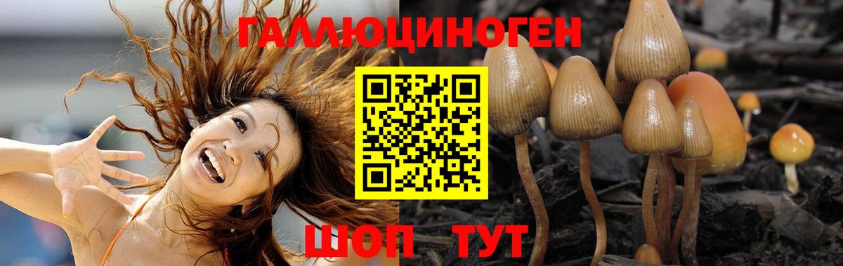 Унеча  Галлюциногенные грибы Cubensis  Вход с VPN  Псилоцибиновые грибы Magic Shrooms 